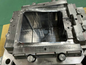 Refrigerator mould